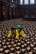 Red Olive Tree, open-book wings in the law library